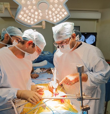 Liver Transplant Surgery: Everything You Need to Know